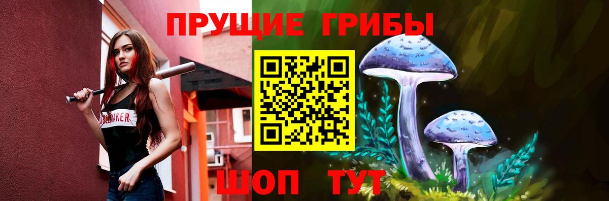 Черногорск  Псилоцибиновые грибы GOLDEN TEACHER  Вход с VPN 